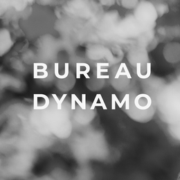 bureaudynamo avatar