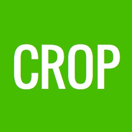 crop avatar