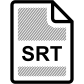 SRT File icon