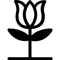 Rose icon