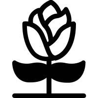 Rose icon