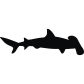 Hammerhead Shark icon