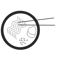 Ramen noodles Icon 156322