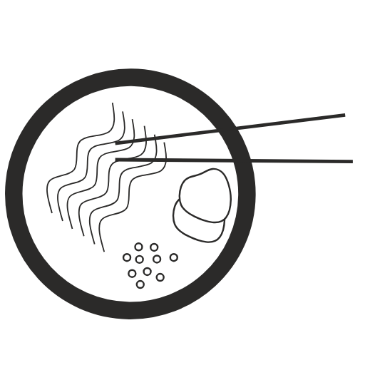ramen noodles icon