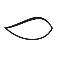 leaf icon