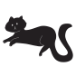 staring cat icon