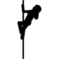 Pole Dancer icon