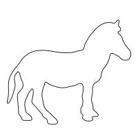 Zebra Icon