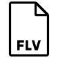 flv format icon