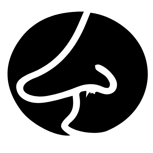 nose icon