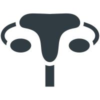 Excretory System  icon