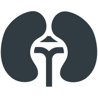 Kidneys  icon