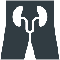 Kidneys  icon