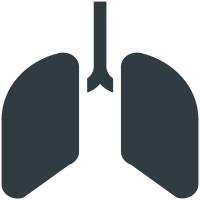 Human Lungs  icon