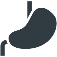 Stomach  icon