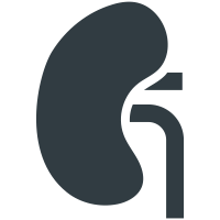 Kidney  icon