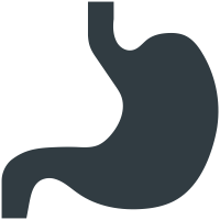 Stomach  icon