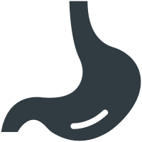 Stomach  icon