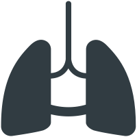 Human Lungs icon
