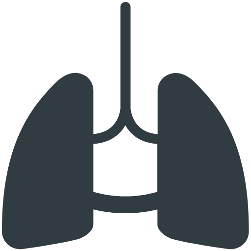 human lungs icon