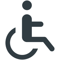 Handicap  icon