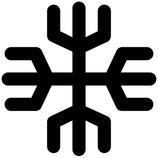 winter snowflake  icon