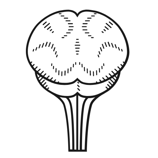 brain icon