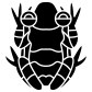 amphibian icon