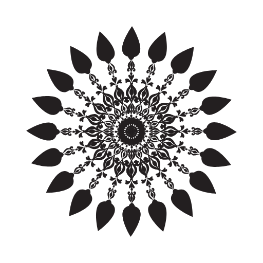 wheel icon