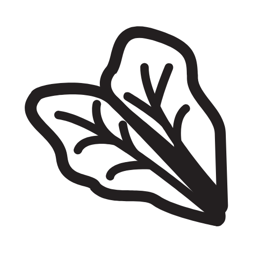 lettuce icon