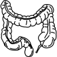 intestine icon