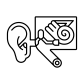 inner ear icon