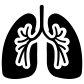 human lungs icon
