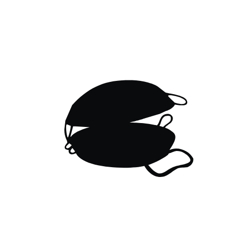 cataplana icon