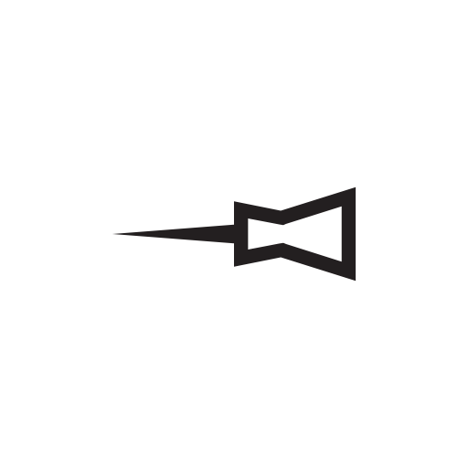 pin icon