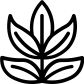 ash leaf icon