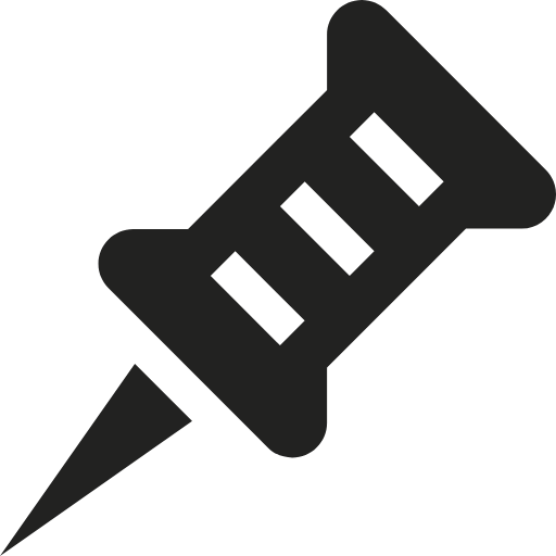 pin icon