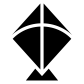 fly icon