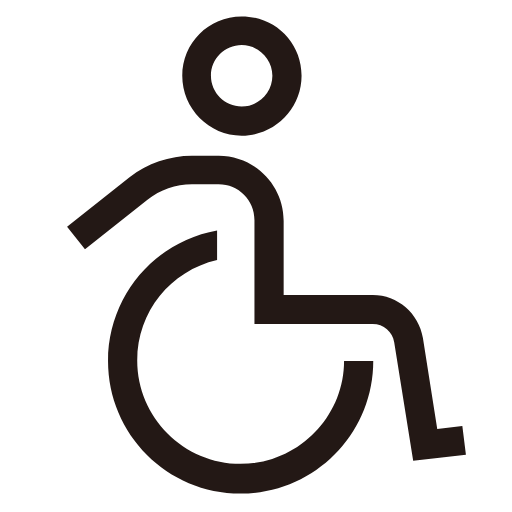 wheelchair icon