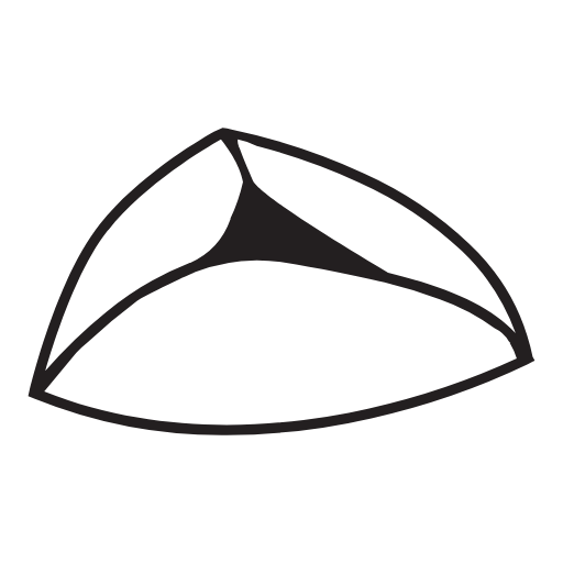 hamentashen icon