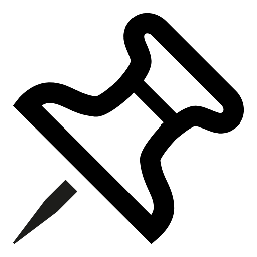 pin icon