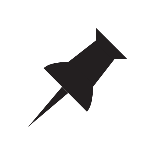 pin icon