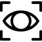 eye recognition icon