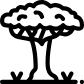 dragon tree icon