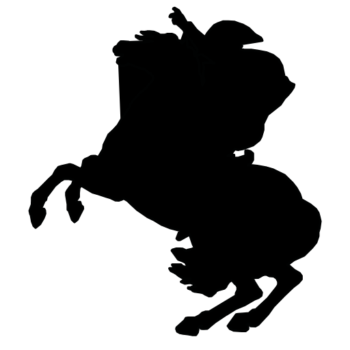 napoleon icon