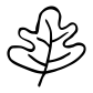 Hand Drawn Leaf icon
