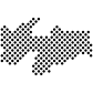 Paraíba icon