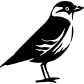 jackdaw icon