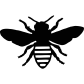 bee icon