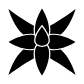 fox tail agave icon
